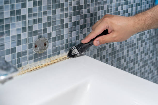Best Office Mold Removal Services  in Diamond, IL