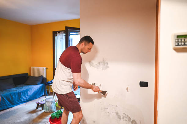 Best Home Mold Removal  in Diamond, IL
