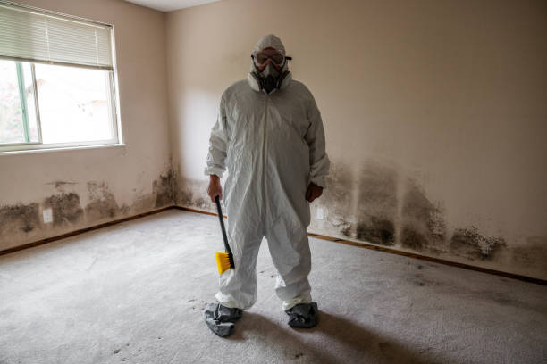 Best Local Mold Removal Service  in Diamond, IL